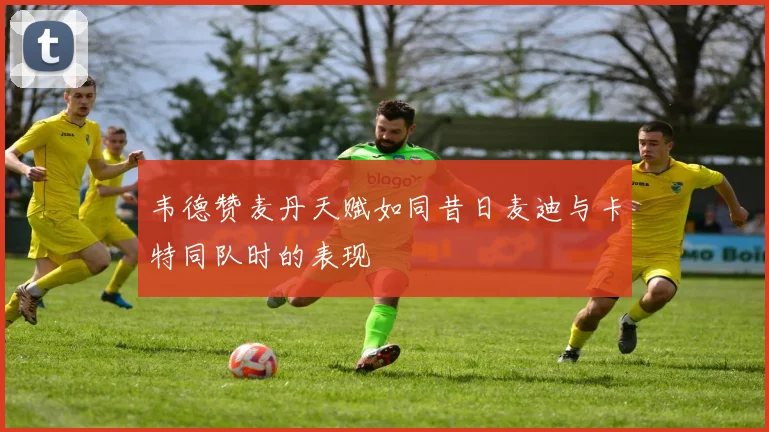 韦德赞麦丹天赋如同昔日麦迪与卡特同队时的表现