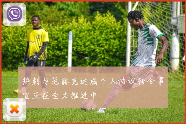 热刺与范赫克达成个人协议转会事宜正在全力推进中
