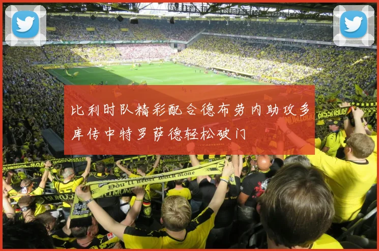 比利时队精彩配合德布劳内助攻多库传中特罗萨德轻松破门